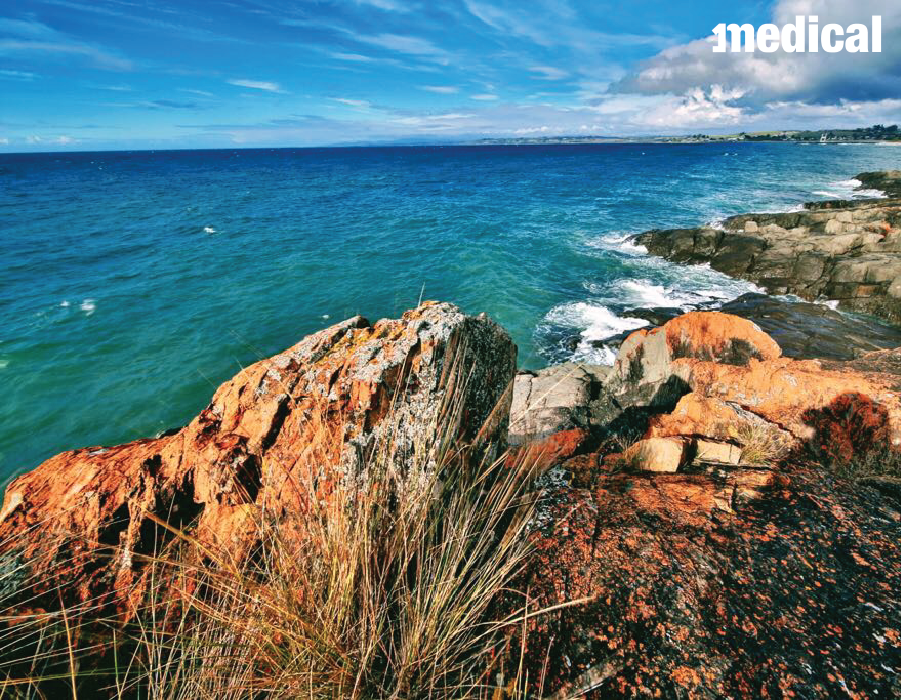 Dr Dushyant - Travelled to Tasmania for locum placements and captured this coastal beach view